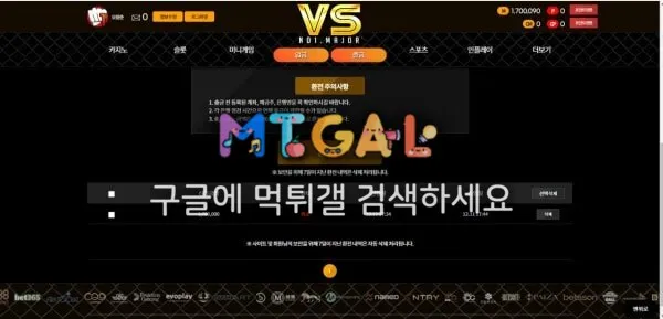 vs 원금까지 먹튀 첨부 이미지