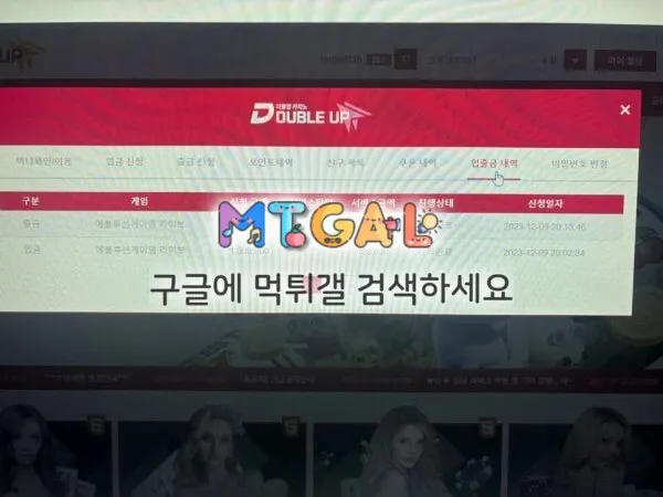 더블업 카지노 먹튀 첨부 이미지