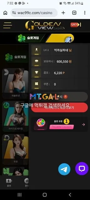 골든뷰 , 골든뷰카지노 먹튀 첨부 이미지