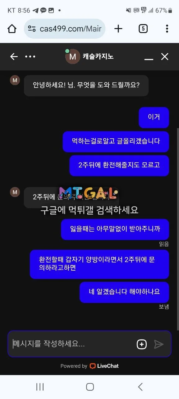 캐슬카지노 양방드립 첨부 이미지