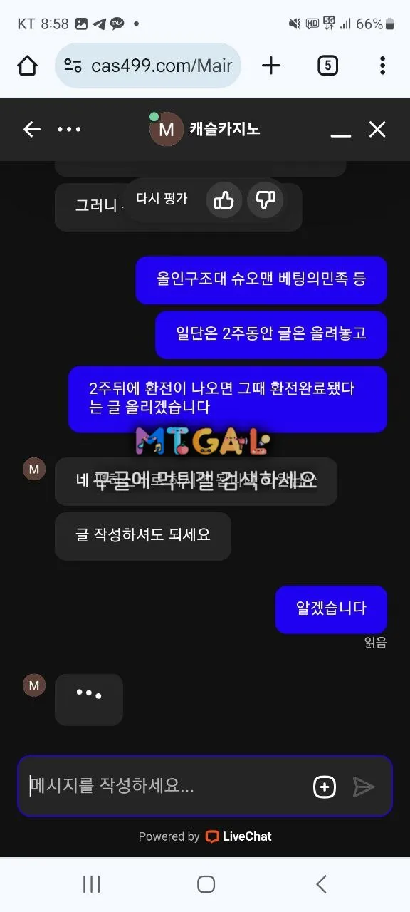 캐슬카지노 양방드립 첨부 이미지