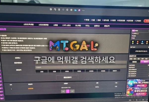 코스트 (cost) 350만원 먹튀 첨부 이미지