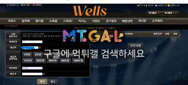 웰스 (wells) 전액먹튀 첨부 이미지
