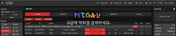비비드 (vvd) 좃글베이들 첨부 이미지