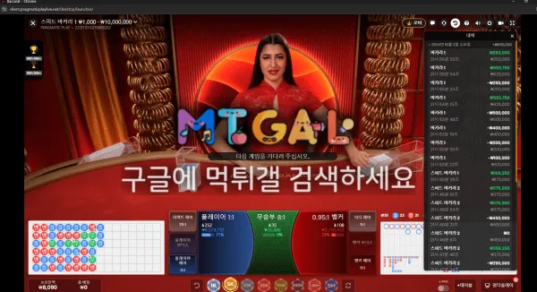 선시티 전액먹튀 첨부 이미지