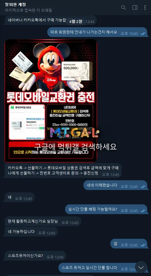 V1 WDG 구멍가게중에 구멍가게네요 첨부 이미지