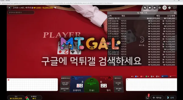 아이비 카지노(IVEY CASINO) 버러지 먹튀범입니다 첨부 이미지