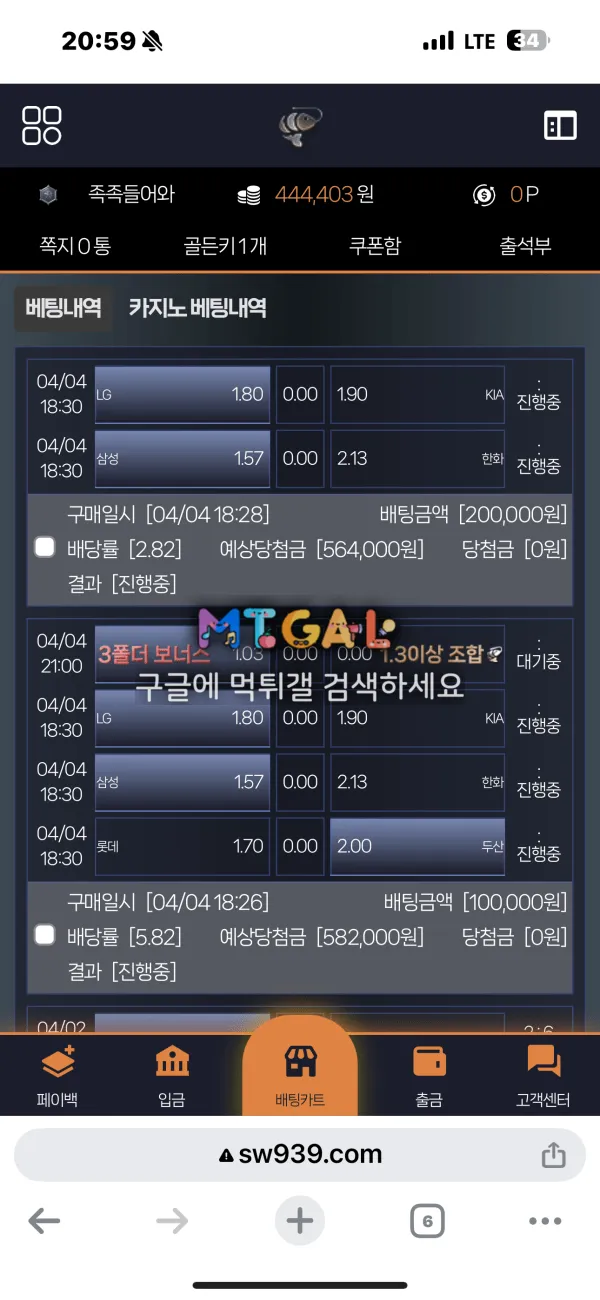 새우, 새우주소.kr 먹튀 첨부 이미지