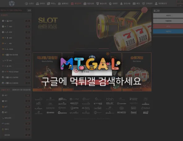 fs벳 첨부 이미지