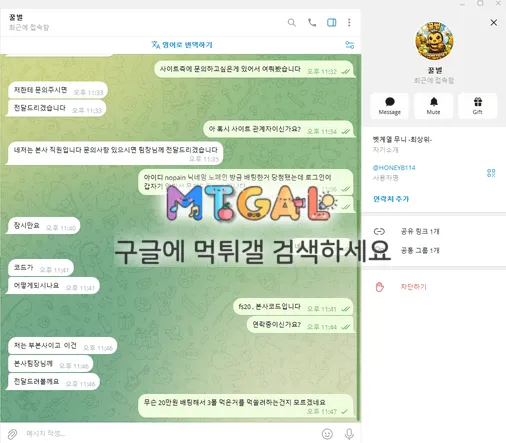 fs벳 첨부 이미지