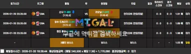 fs벳 첨부 이미지