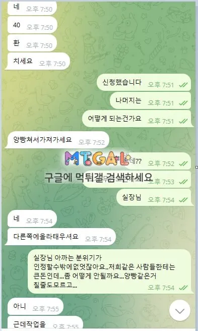 카니발 돈따면 작업베팅입니다 쓰지마세요 첨부 이미지