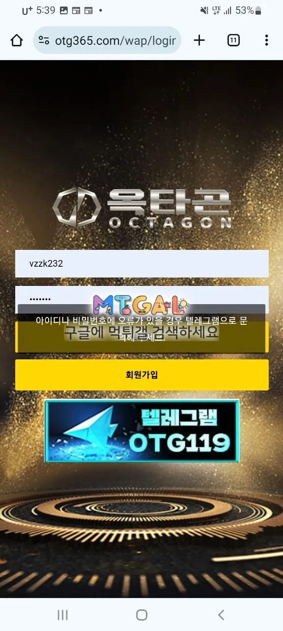 옥타곤 먹싸 첨부 이미지
