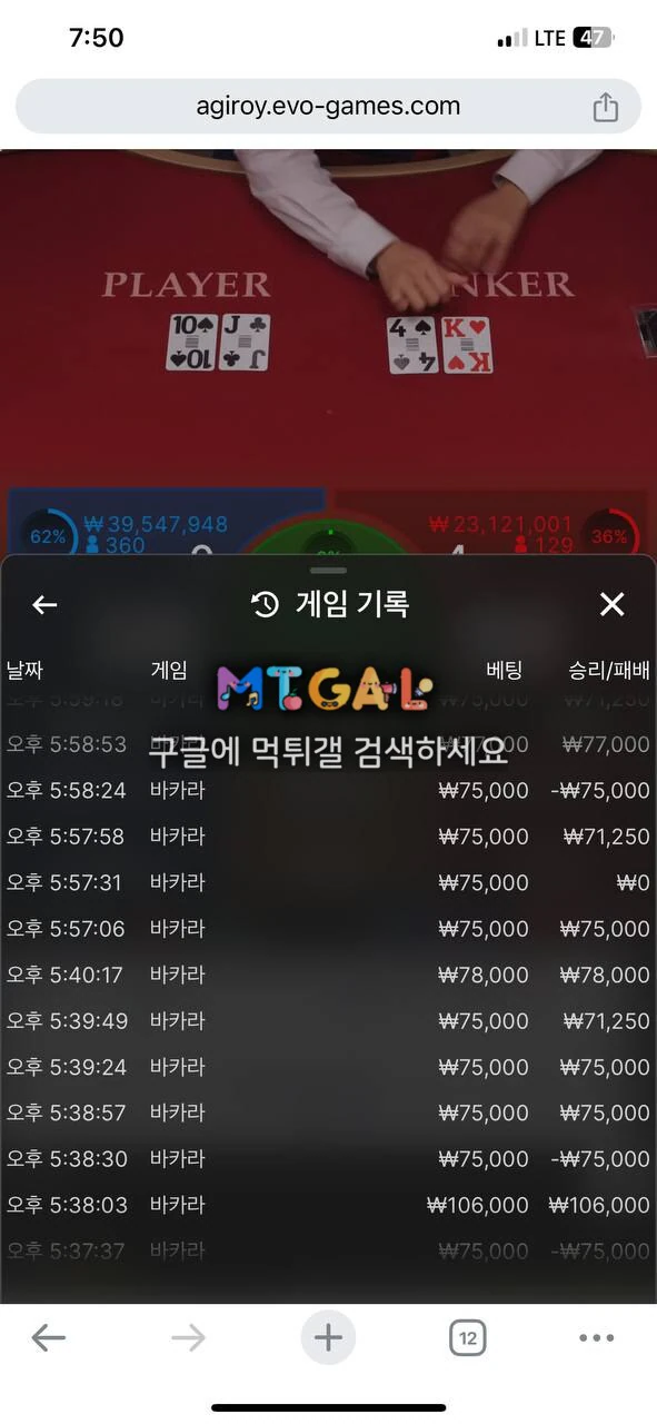 용카지노 첨부 이미지