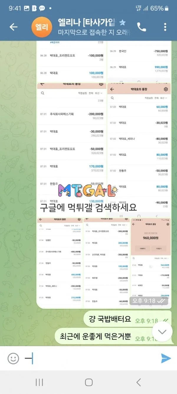 엘리니아 입금 먹튀 개악질 사이트 첨부 이미지