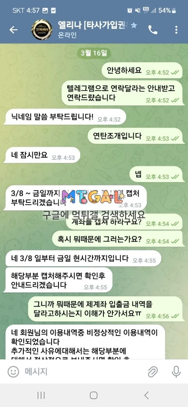 엘리나 (ellina) 첨부 이미지
