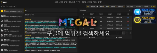 사우스 (south) 핑돈 환전 첨부 이미지