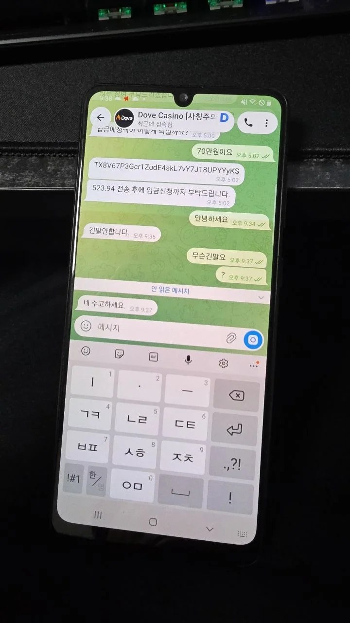 도브카지노 (http://dvcsno.bet) 500만원 원금 및 당첨금 전액 먹튀 첨부 이미지
